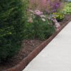 Wood Landscape Edging