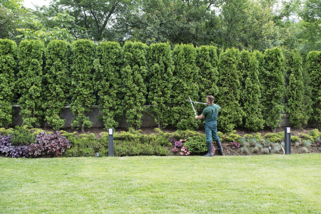 Shot of a professional landscaper cutting the unwanted grass.