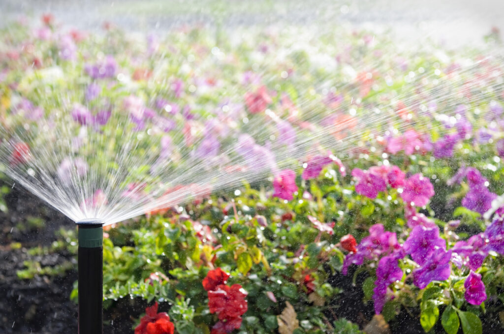 automatic-sprinkler-watering-a-bed-of-flowers-landscaping-concept